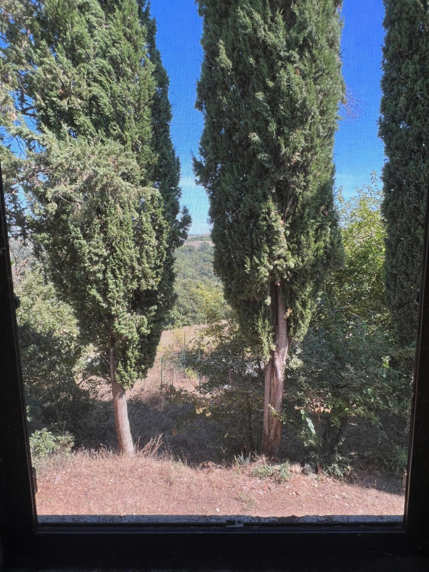 Agriturismo Diffuso Monte Oliveto Maggiore Chiusure Extérieur photo
